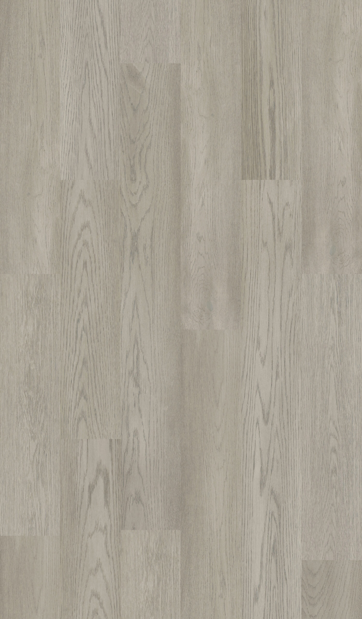 Grey Oak